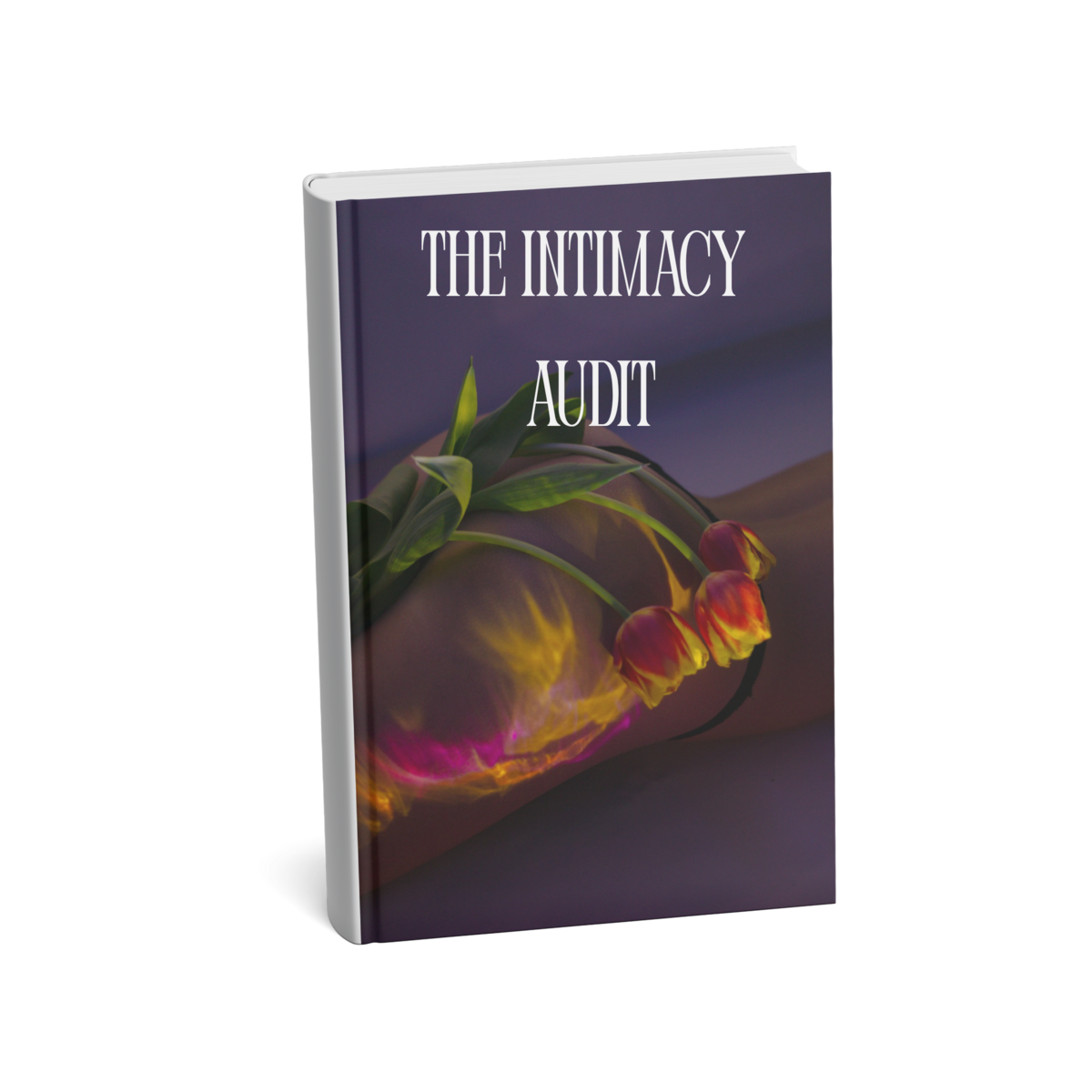 The Intimacy Audit cover